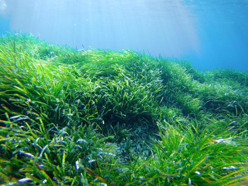 Macintosh HD:Users:Gonzalo:Documents:Cabrera 2019:2000_0101_014333_001.JPG