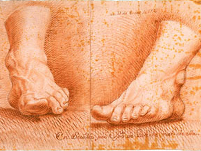 Museos y colecciones universitarias