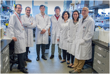 Descifran el mecanismo por el que un fármaco conocido hace décadas reduce el tamaño del infartogen Descifran el mecanismo por el que un fármaco conocido hace décadas reduce el tamaño del infarto