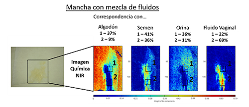 Haciendo visible lo invisible: identificación de fluidos corporales con la técnica de imagen hiperespectral Haciendo visible lo invisible: identificación de fluidos corporales con la técnica de imagen hiperespectral