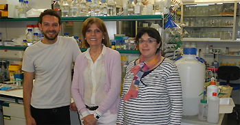 La plasticidad de los macrófagos permite reparar tejidos del pulmón y del hígado