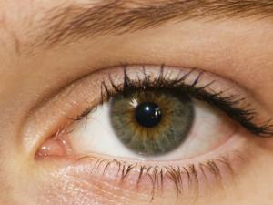 El ojo seco: una patología infravalorada que afecta al 30% de la población. / krystofos (PIXABAY)