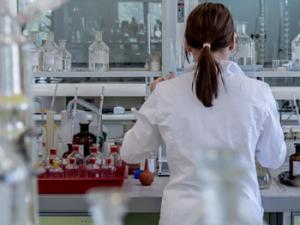 Estos galardones son anuales, y se llevan celebrando desde el 2005 para defender la importancia de la tutoría e inspirar a toda una generación de jóvenes científicos. / jarmoluk (PIXABAY)