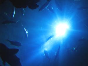 Un telescopio de neutrinos bajo el Mediterráneo para 'cazar' la materia oscura