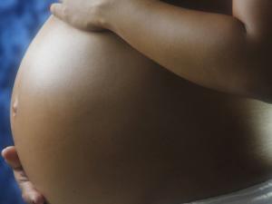 Un útero artificial mantiene con vida a fetos de animales prematuros