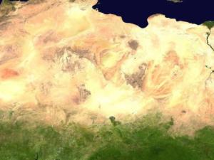 De-arbol-en-arbol-se-calcula-la-absorcion-de-