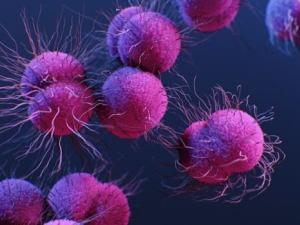 Microbiota-y-gravedad-