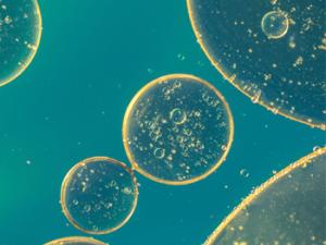 Agua y aceite. / the3cats (PIXABAY)