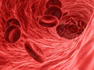 La idea es identificar los factores de la sangre que tienen ese efecto antiaging, sintetizarlos y comercializarlos en forma de medicamento. / qimono (PIXABAY)