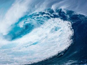 Un gran número de vigueses desconocía la existencia del IEO en la ciudad, pese a llevar un siglo formando parte de ella. / NeuPaddy (PIXABAY)