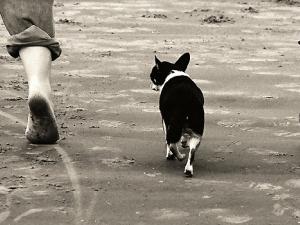 Caminar aporta los mismos beneficios cardiovasculares que nadar o correr y tiene menor riesgo de lesiones