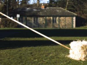 Fotograma de imágenes de video de alta velocidad que muestra un golpe de blanco. /  (Annemieke Milks et al. 2019). DOI: 10.1038/s41598-018-37904-w