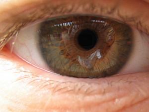 Ojo. / jakemaheu (WIKIMEDIA COMMONS)