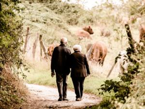 os pacientes mayores de 70 años que están sometidos al tratamiento de la enfermedad renal crónica a través de diálisis peritoneal son frágiles. / PaelmerPhotoArts (PIXABAY)