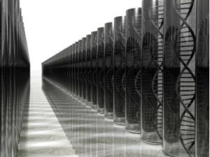 Se cree que muchos aspectos de nuestra conducta, como el talento, solo están marcados por nuestra educación, cuando en realidad el ADN tiene mucho que decir en ello. / PublicDomainPictures (PIXABAY)