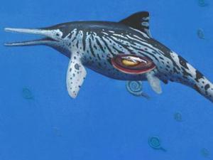 Ilustración artísitica de la hembra de ictiosaurio preñada. / Dean R. Lomax
