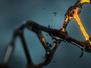 Crean una revolucionaria "impresora de ADN" artificial. / lisichik (PIXABAY)