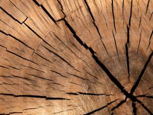 Crean una madera tan fuerte como el titanio pero mucho más ligera