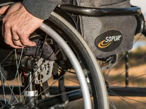 Terapia con células madre que mejora la movilidad en pacientes con lesiones medulares. / stevepb (PIXABAY)