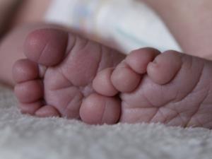 De enero a junio de este año se produjeron en España 187.703 nacimientos, un 6,3 por ciento menos que en el mismo periodo del año anterior. / medialna (PIXABAY)