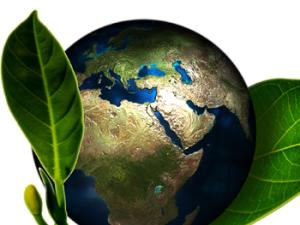 Los nuevos exploradores españoles de la National Geographic Society. / Geralt (PIXABAY)