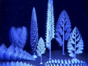 Jennifer Hoyal Cuthill ./ Universidad de Cambridge