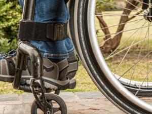 Primer mapa de las conexiones cerebro-médula para reparar las lesiones medulares. / stevepb (PIXABAY)