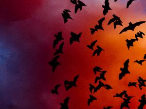 Hallado un fármaco capaz de detener el MERS y el SARS