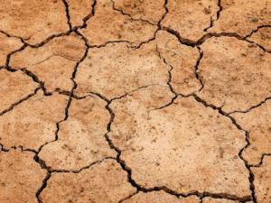 El hombre ya tuvo que adaptarse al cambio climático hace 8.000 años