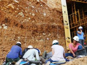 Se han analizado muestras de los niveles TD4 a TD6 mediante paleomagnetismo, metodología cada vez más utilizada para establecer dataciones absolutas dada su gran versatilidad. / CENIEH