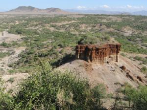 Garganta de Olduvai. / ActiveSteve (FLICKR)