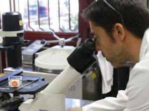 La Universidad CEU San Pablo promueve 41 actividades para la XVIII Semana de la Ciencia y la Innovación