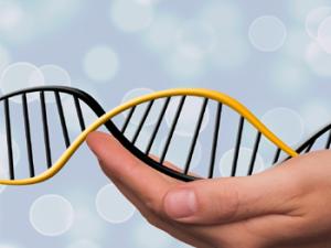 Ilustración de la manipulación del ADN. / geralt (PIXABAY)