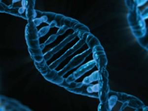 Los niveles de expresión de microARNs específicos y la metilación del ADN se expresa de forma diferente en los tumores de pulmón de personas que padecen EPOC respecto de las personas que no la padecen. / PublicDomainPictures (PIXABAY)