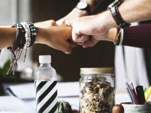 Los autores discuten la importancia de las redes de colaboración ya existentes. Estas plataformas dan soporte científico y técnico a investigadores a nivel nacional e internacional en 40 países. / rawpixel (PIXABAY)