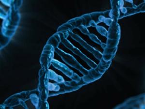 Ilustración de cadena de ADN. / PublicDomainPictures (FLICKR)