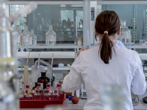 La representación femenina supone el 57% del total, experimentado un incremento importante respecto a 2016. / jarmoluk (PIXABAY)