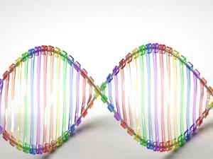 Ilustración de la cadena de ADN. / Caroline Davis2100 (FLICKR)