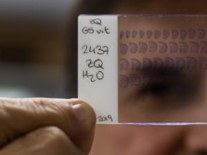 copia_de_jose_javier_l