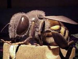 Modelo gigante de abeja robótica. / Osamu Iwasaki (FLICKR)