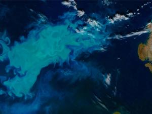 Se identificaron miles de trozos de residuos flotantes por kilómetro cuadrado, y se concluyó que dada la fragmentación y la tipología de los mismos, el plástico era viejo y se había desechado a mucha distancia. / NASA image by Jeff Schmaltz and Joshua Stevens,  LANCE/EOSDIS Rapid Response (NASA)