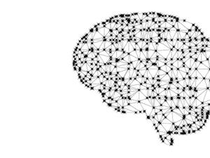 La memoria funcional es la capacidad para almacenar, actualizar y manipular información importante para un objetivo concreto. / GDJ (PIXABAY)