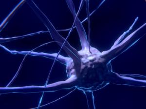 Una herramienta ambiciosa para tratar enfermedades encefálicas. / (PIXABAY)