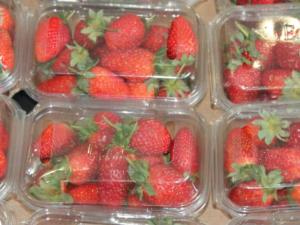 En marcha las pruebas para un envase de fibra dedicado a comidas precocinadas