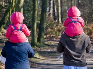 Padres paseando con gemelos. / luxstorm (PIXABAY)