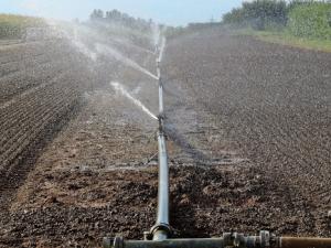 Campo con autorriego. / WerbeFabrik (PIXABAY)