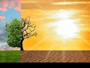 Cambio climático, ilustración. / Tumisu (PIXABAY)