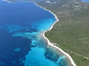 Un estudio desentraña la formación de ‘círculos de hadas’ en las praderas de posidonia