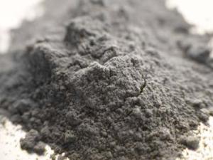 Sedimentos marinos del Margen Ibérico analizados en el estudio./ Belén Martrat (CSIC)