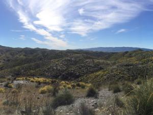 Paisaje árido de Almería. / Foto: Pedro Rey